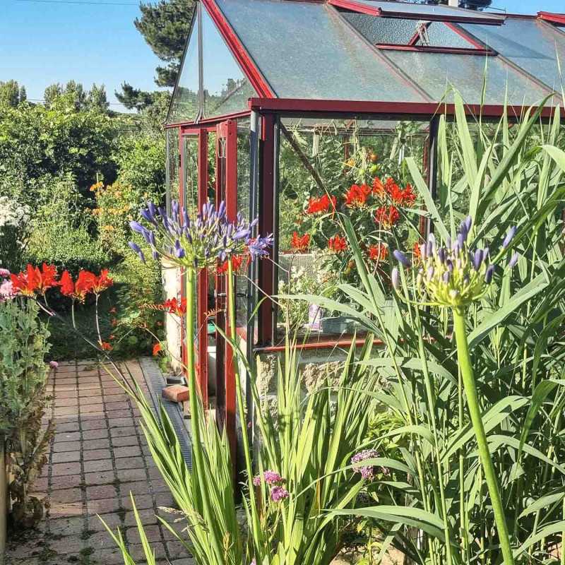 Serre LUXIA sur muret largeur 3,09 m