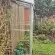 Serre de jardin LAMS Mélissa 0,90 m², coloris aluminium naturel, verre trempé 3 mm