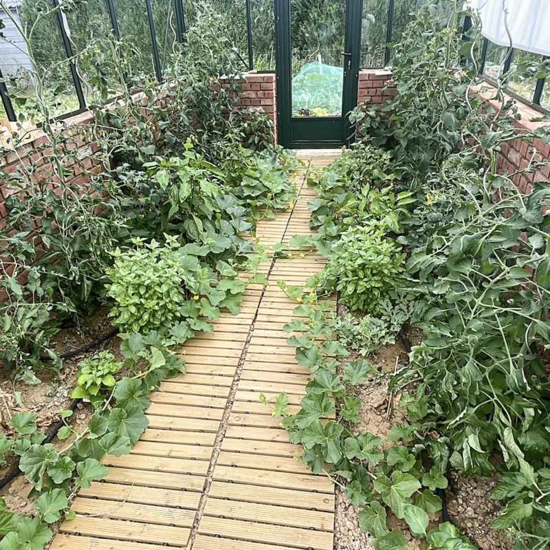 Serre LUXIA sur muret largeur 3,09 m