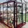 Serre LUXIA largeur 1,60 m