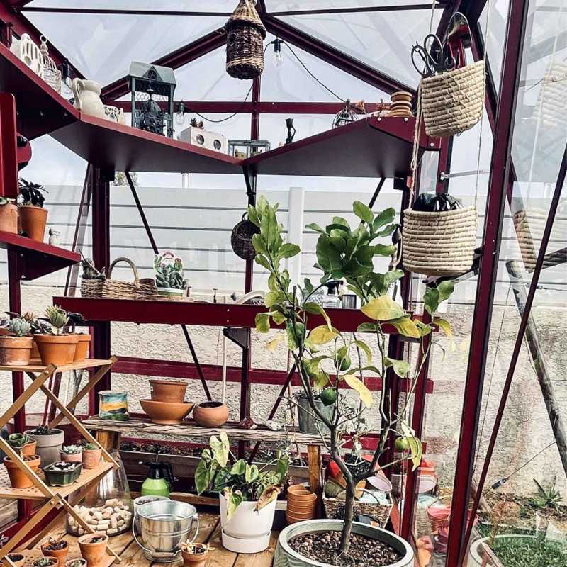 Serre LUXIA largeur 1,60 m