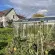 Serre ESSENTIA largeur 2,36 m