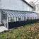 Serre CHAMBORD largeur 3,70 m sur embase aluminium