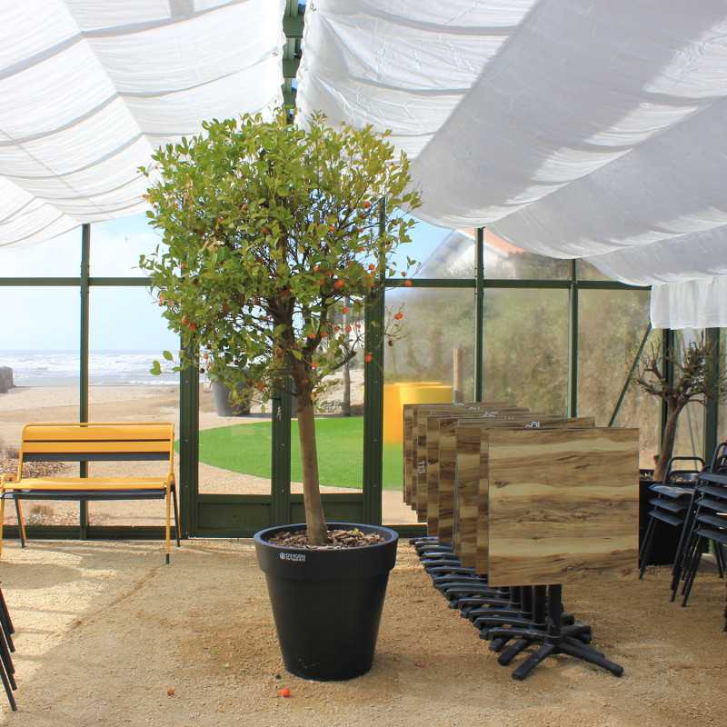 Serre SUPRA largeur 6,04 m