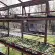 Serre SUPRA largeur 3,80 m