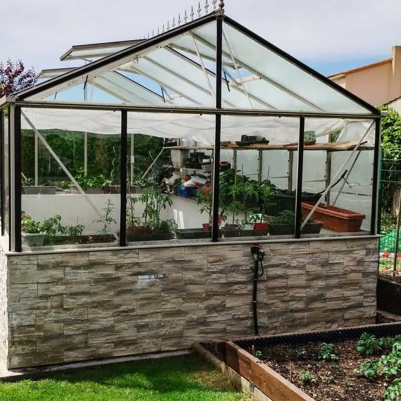Serre LUXIA sur muret largeur 3,09 m