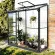 Serre de jardin LAMS Mélissa 1,30 m² – Verre trempé