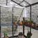 Serre LUXIA largeur 2,36 m