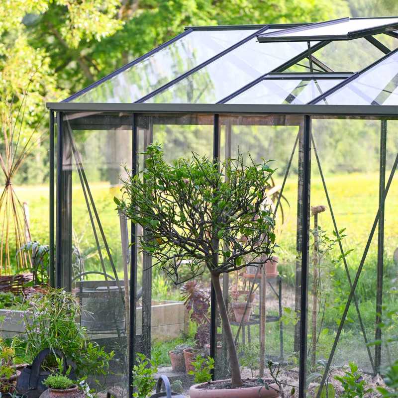 Serre LUXIA largeur 2,36 m