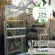Serre de jardin LAMS Allium 2,50 m² – Verre trempé