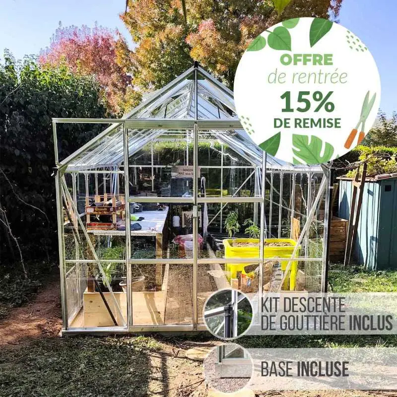 Serre de jardin LAMS Laurus 9,70 m² – Verre trempé