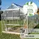 Serre de jardin LAMS Laurus 14,40 m² – Verre trempé