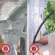 Serre de jardin LAMS Allium 2,50 m², structure aluminium, joint de vitrage