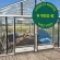 Serre reconditionnée SUPRA 4,60 x 6,04 m