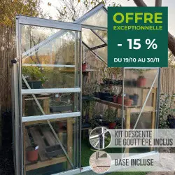 Serre de jardin LAMS Allium 2,50 m² – Verre trempé