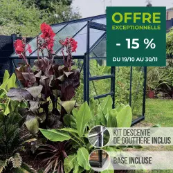 Serre de jardin LAMS Allium 3,70 m² – Verre trempé ou polycarbonate