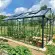Serre LUXIA largeur 3,09 m