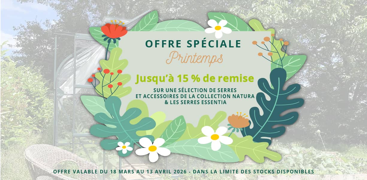 offre spéciale