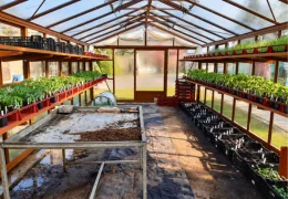 Quelle température pour les plantes dans votre serre ?