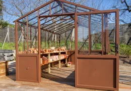 Que planter sous serre en automne ?