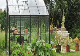 Comment éliminer les mauvaises herbes dans ma serre ?