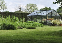 Que planter en été dans ma serre de jardin ?