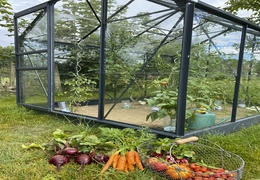 Quels légumes cultiver sous serre ? Le top selon les saisons