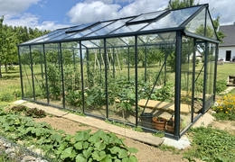 Que planter au printemps dans ma serre de jardin ?