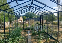 Que planter en hiver dans ma serre de jardin ?