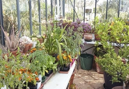 Comment aménager sa serre de jardin ?