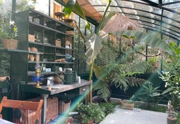 Que planter en automne dans ma serre de jardin ?
