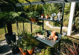 Comment équiper sa serre de jardin ?