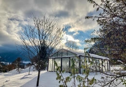 Préparer vos plantes pour l'hivernage en serre