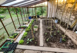 Comment organiser les plantations dans une serre ?