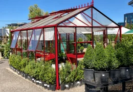 Que planter sous serre au printemps ?