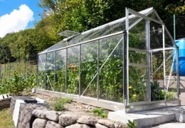 Que planter sous serre en été ?