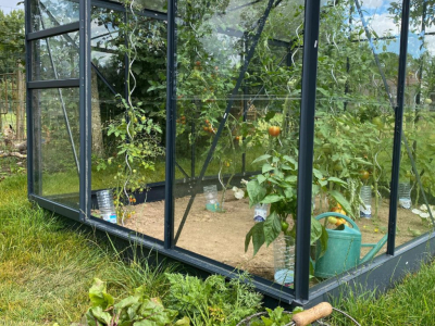 Quels légumes cultiver sous serre ? Le top selon les saisons